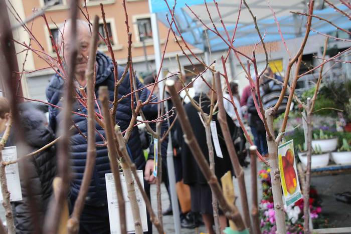 Erein eta zaintzearen magiak 29 1581165946212