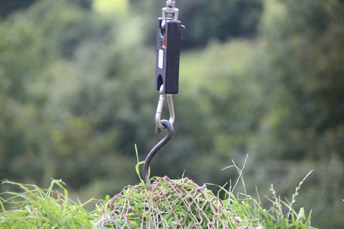 Julen Gabirondo Izeta, Euska 91 1502046281462