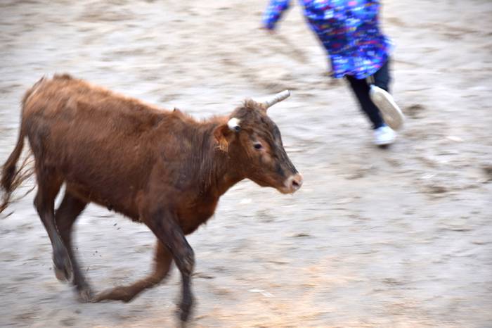 xexenak ostiral mehea 21 1645807731752