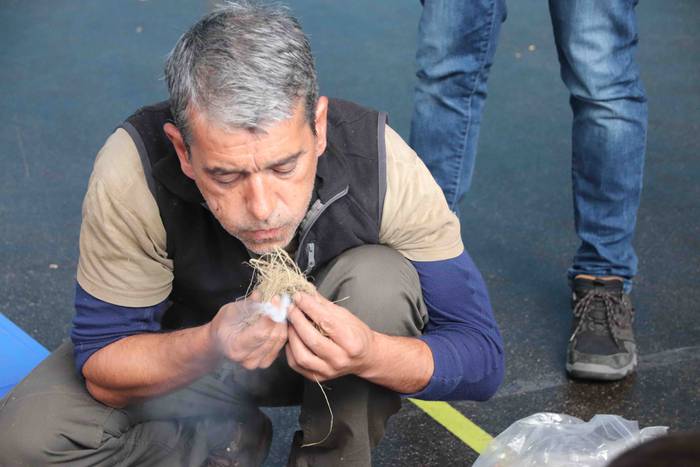 Alkizako San Martinak 2019 29 1573302854983