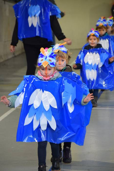 Inauteriak 2018, ikastetxeak 14 1518096698844