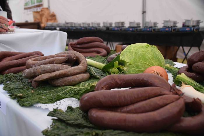 Sebar Garitziarenaren babarr 2 1573912512649