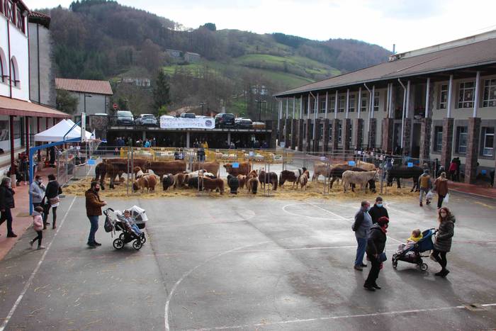 Berastegiko gaztarik onena A 55 1608397942705