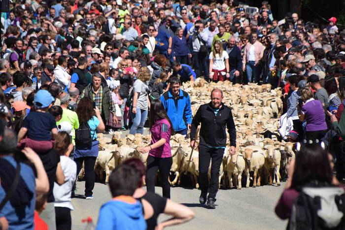 Larrerati dituzte abereak Ar 56 1556716326719