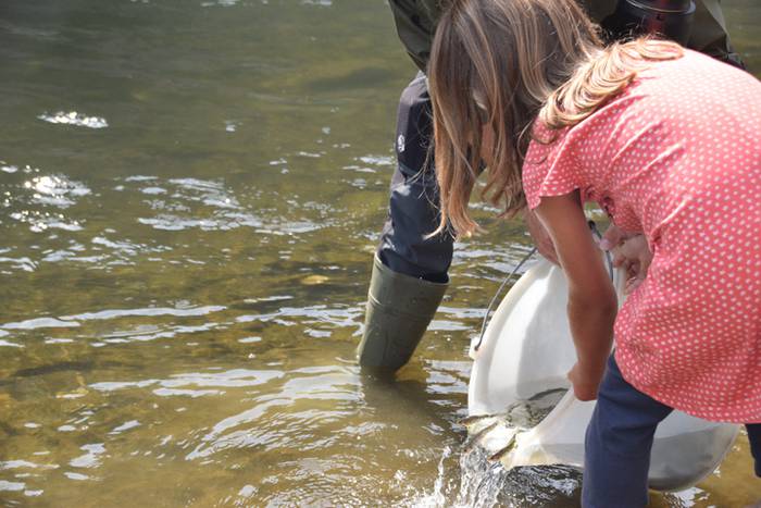 Izokinkumeak, Orian 26 1500724846780