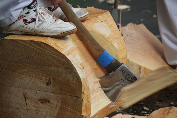 San Isidro Eguna Amasa Astea 35 1526395889473