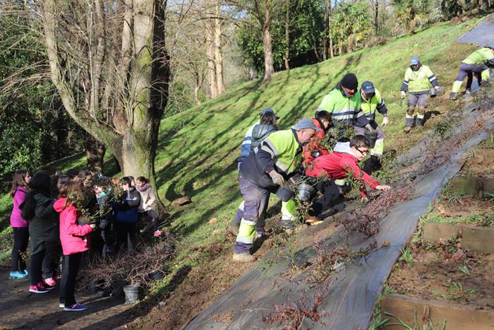 Tolosako ikasleek zuhaitzak  9 1520435470472