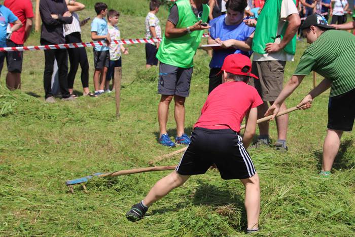 Erabaki dira Euskal Herriko  34 1532870198285