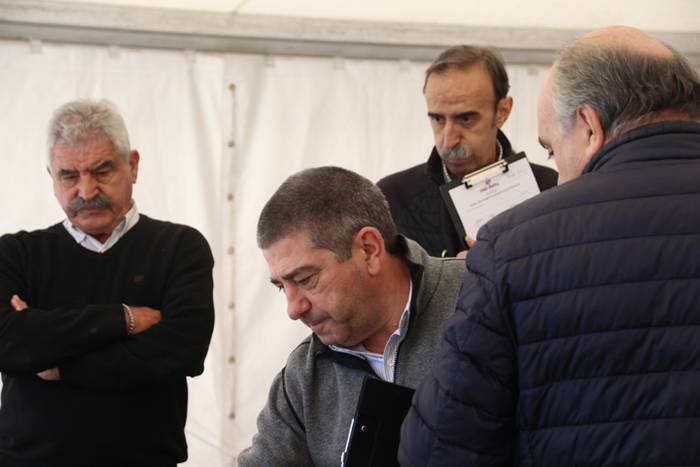 Babarrun platerkada onena, D 56 1511113022168