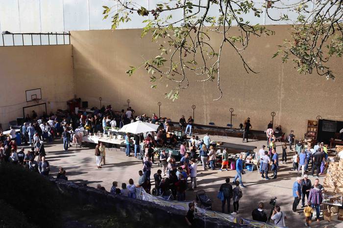 Zer ikusi izan da Bedaion 2 1668343693062