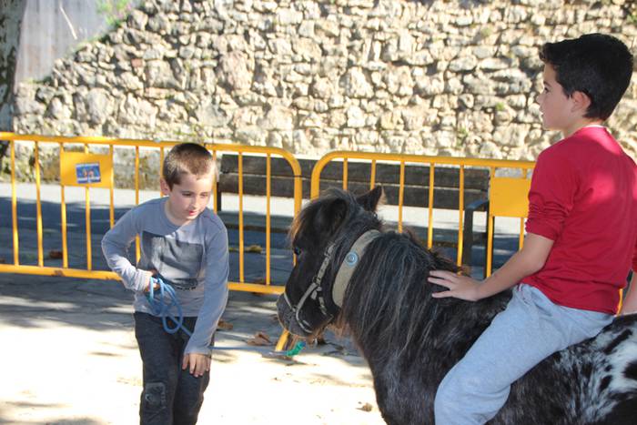 Animali, barazki eta artisau lanen bilgune 20 1477830806862