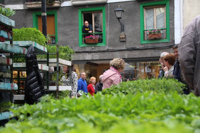 Eta liliek Tolosa ere amets 26 1495290344677