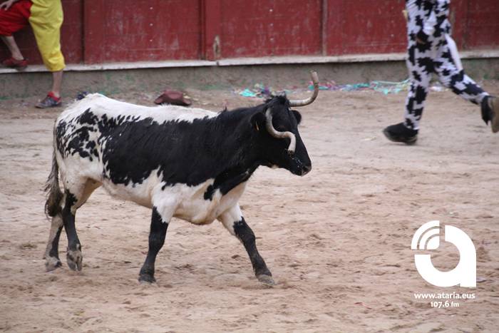 Zezenak adarrak okerrak ditu 68 1488277553359