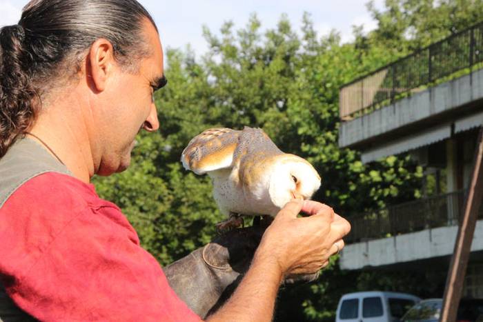 2016 bidea 14 1471775847050