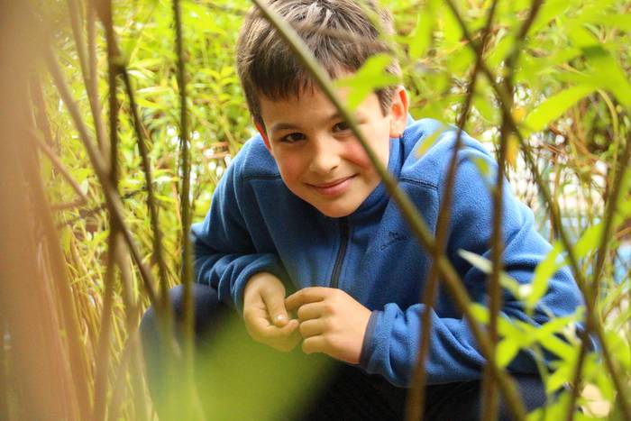 Samaniego Ikastetxea Lehen H 34 1559207401810