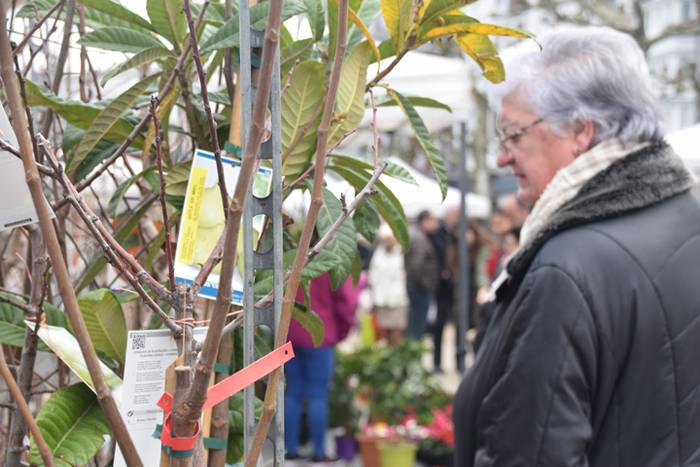 Zuhaitz Azoka, Tolosa, 2017 2 1486819574154