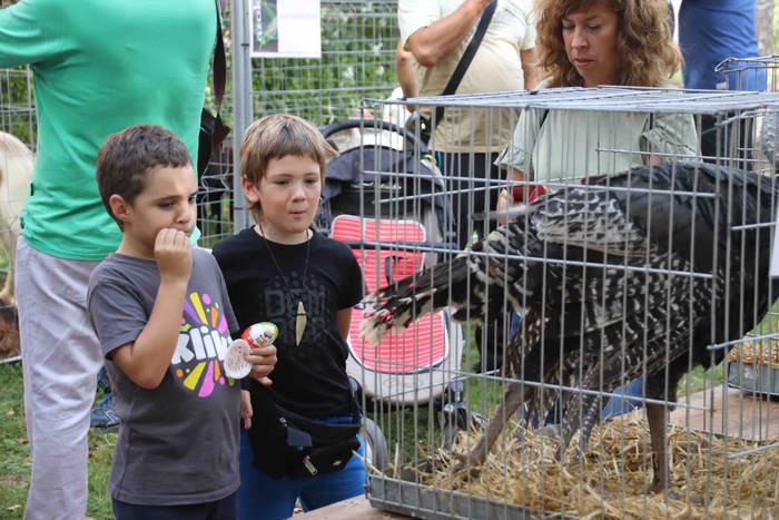 Inoiz baino bereziagoa 12 1568556710238