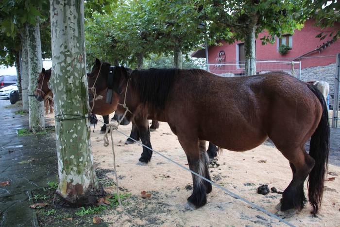 Azoka, hamaiketako eta guzti 26 1540733667792