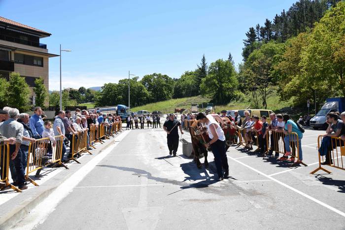 San Isidroez gozatu dute 18 1557925574820