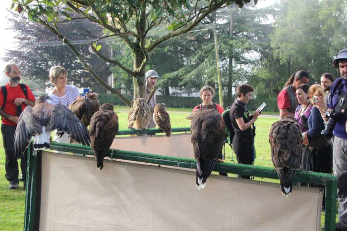 2016 bidea 17 1471775865421