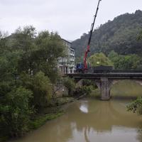 Biodibertsitate Gunea