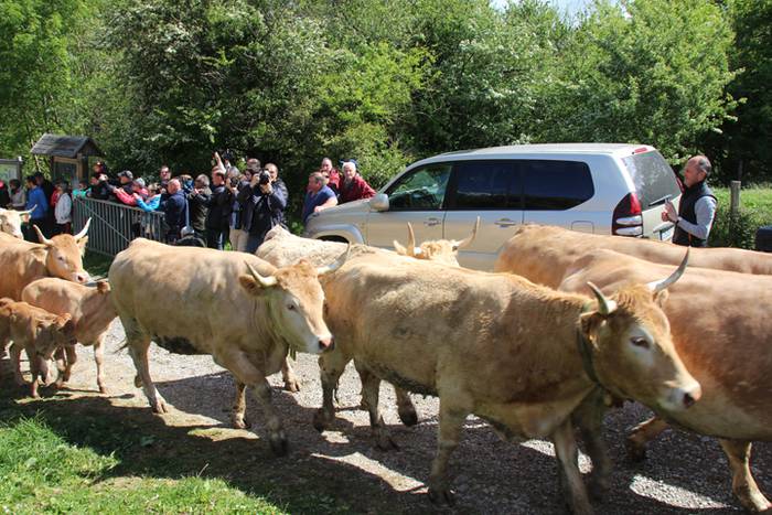 Larre irekiera Larraitzen 20 83 1493640166996