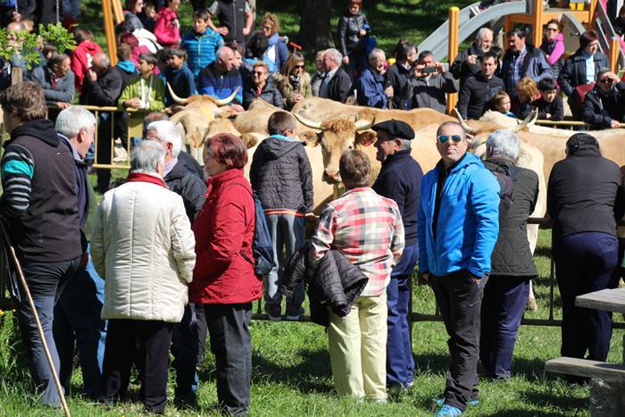 Larre irekiera Larraitzen 20 42 1493639911871