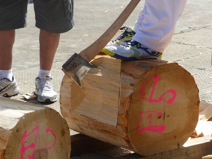 Kultura edo kirola, guztiak  100 1535469891784