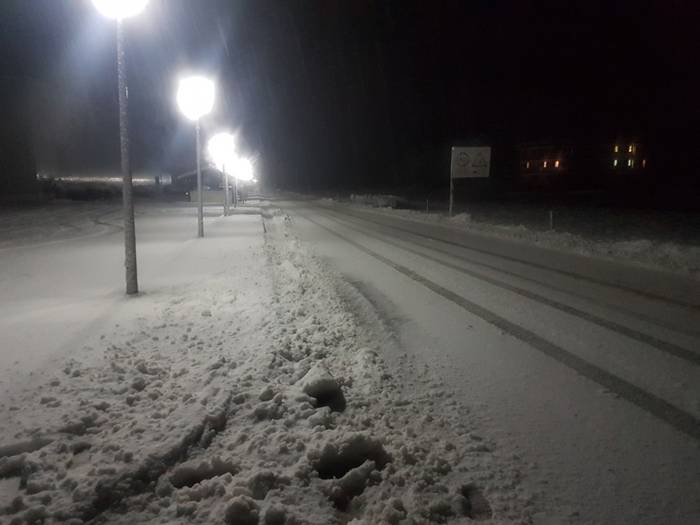 Elkartasun uholdea, elurtea  12 1515429983104