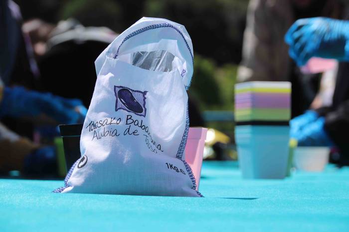 Tolosako Babarruna erein da 14 1559904705378