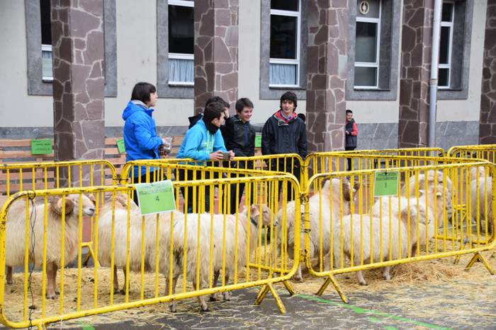 Azoka euriaren gainetik 32 1478447531691