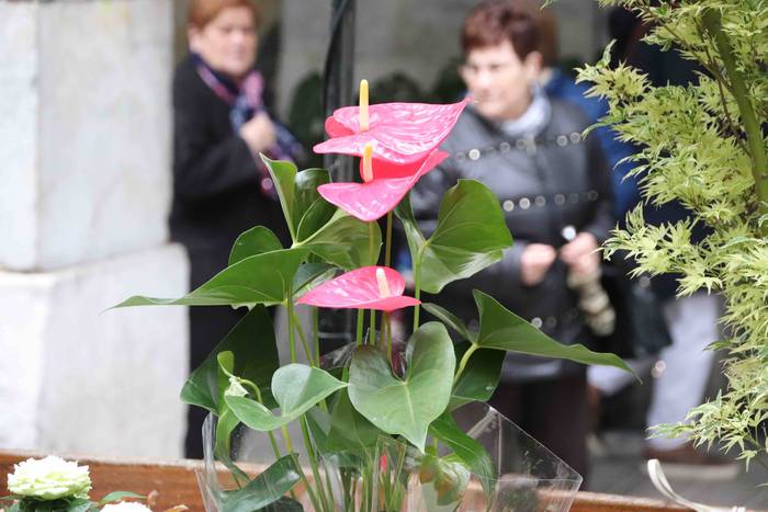 Lore eta Landare Azoka 2019 37 1558171914424