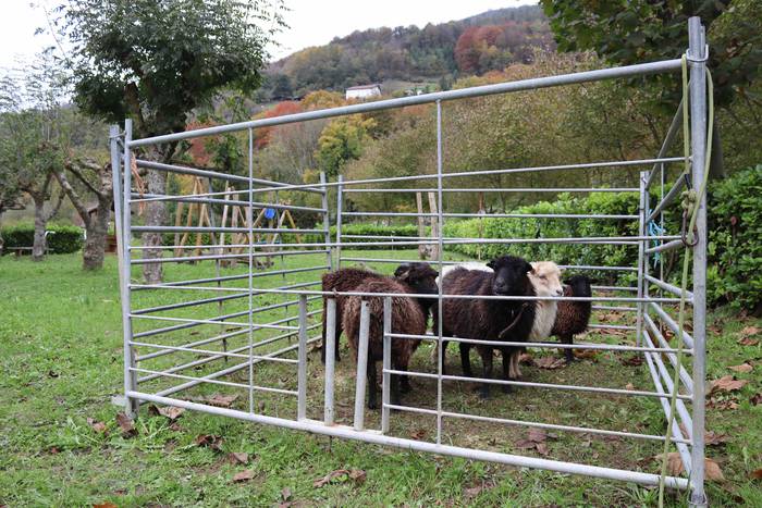 Azoka bueltatu da Gaztelura 32 1636302521820