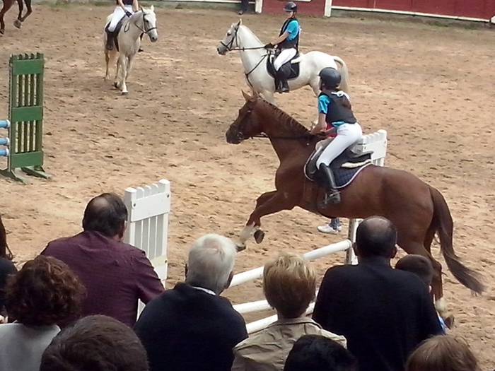 Zaldi erakustaldia Tolosa zezen plaza 3 1466419130327