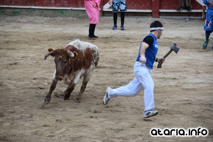 Pattar zezena 2016 27 1455012391529