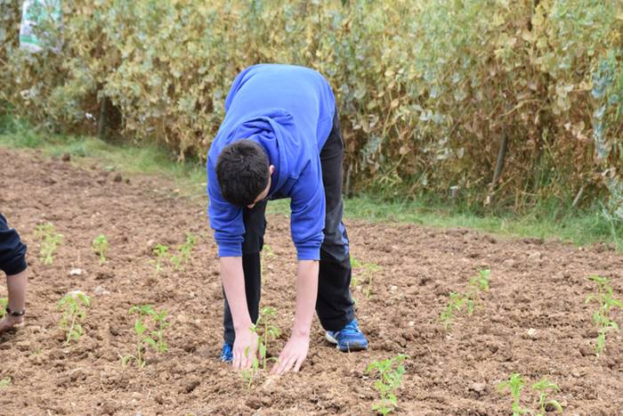 Piper landaketa uzturpe gureak  789 taldea 21 1464793774172