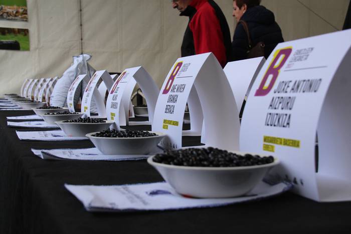 Albizturko Iriarte baserriko 4 1511013420228