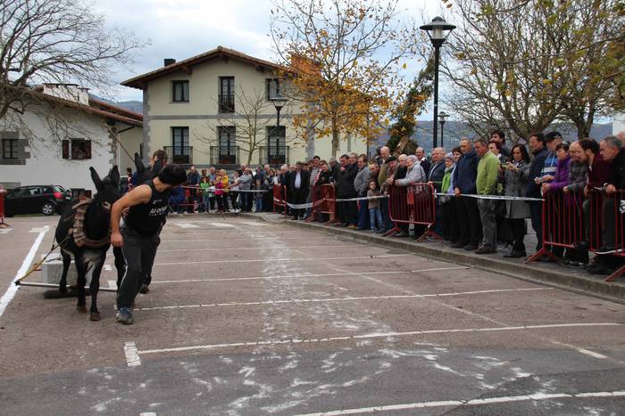 Idiek irabazi diete astoei A 22 1541962220477