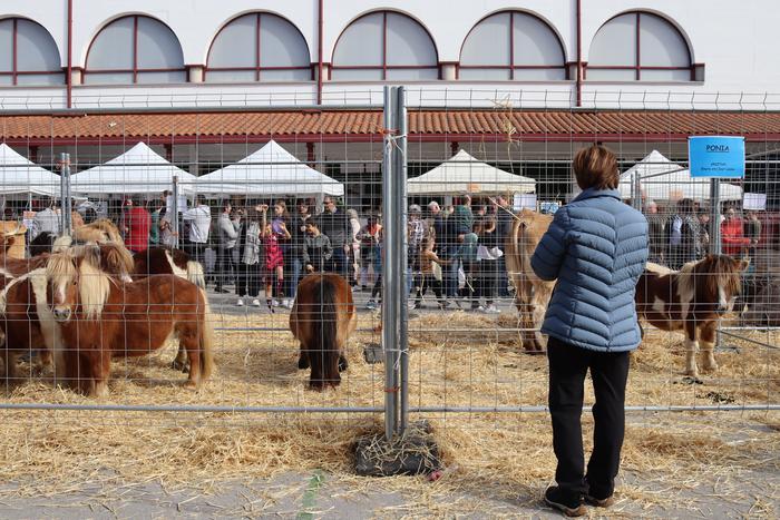 Ostegunean abiatuko da Berastegiko Kultur Astea