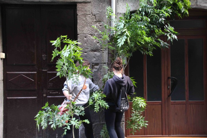 Berdez esnatzen da ekainaren 24a - 19