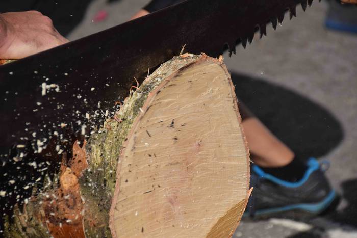 Orendain festak txupinazoa h 34 1534270067309