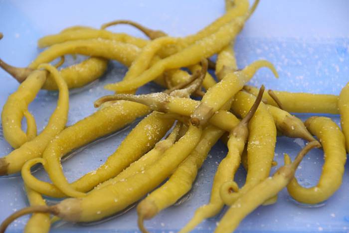 Bertako esentzia ezagutaraziz 21 1472038145046