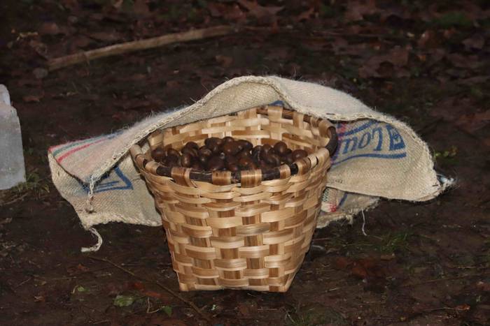 Olentzaroaren magian murgild 67 1577038567224