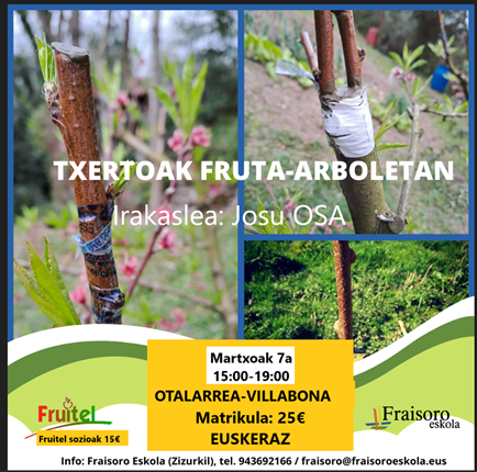 Ikastaroa