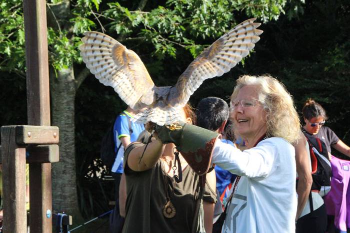 2016 bidea 16 1471775861454