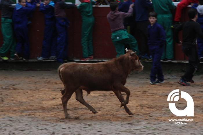 Zinbuluka ta zanbuluka 14 1487957664894