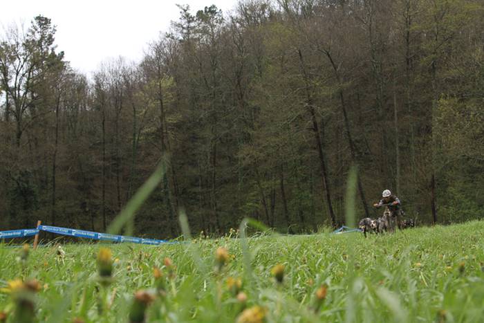 Zizurkil, txakur krosa 19 1490473912949