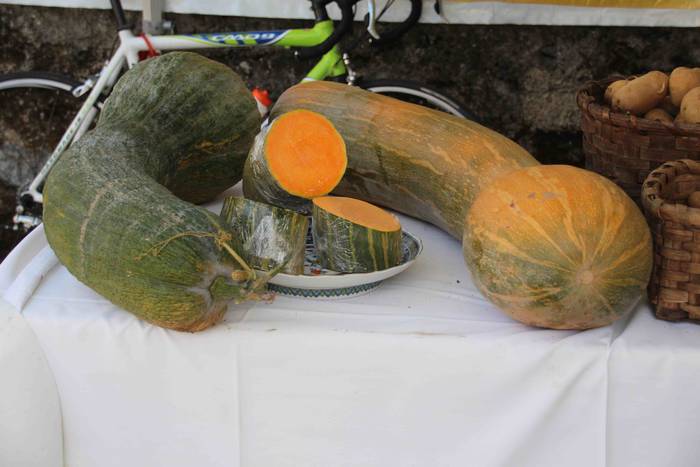 Zizurkil herrigunea Azoka Be 33 1570974698112