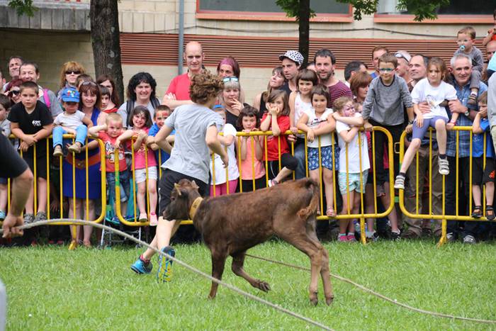 Eskola txiki eguna Ikaztegieta 66 1465750690453