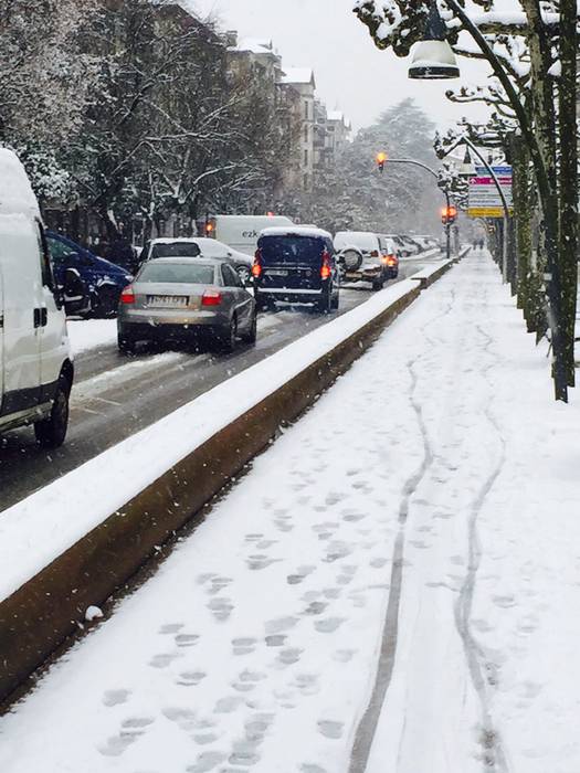 Argazki galeria: Tolosaldea, 33 1519809857661